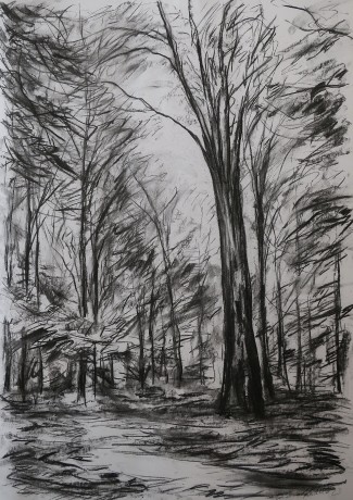 Scetch from the forest (84x59 cm)