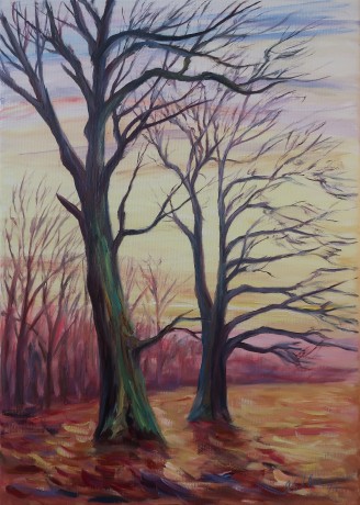 Oak trees in the early evening (70x50 cm)