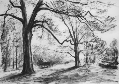 The sun breaking through the trees (59x84 cm)