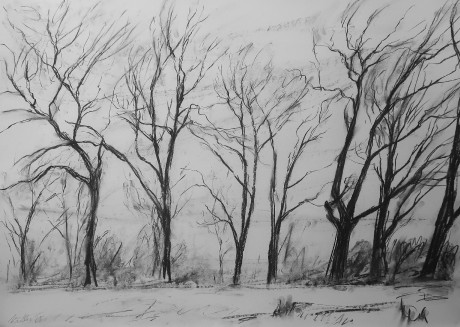 Winter trees (59x84 cm)