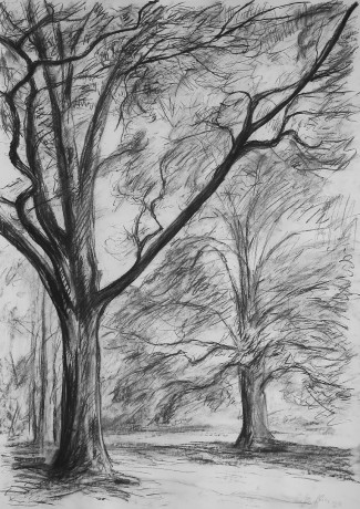 Oak trees in the park (84x59 cm)