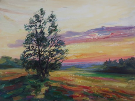  Sunset in the open countryside (60x80 cm)