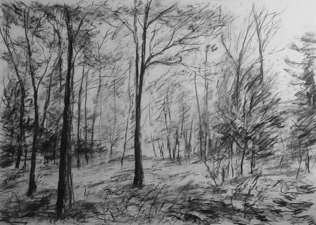 Podzimní nálada (59x84 cm)