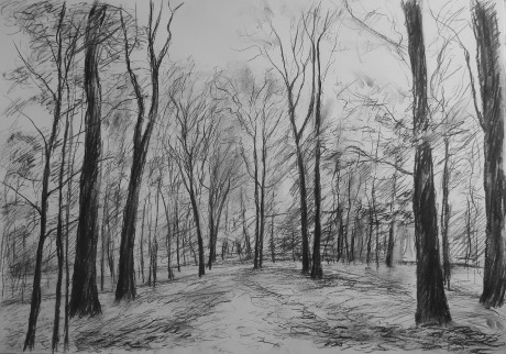 V podzimním lesoparku (59x84 cm)