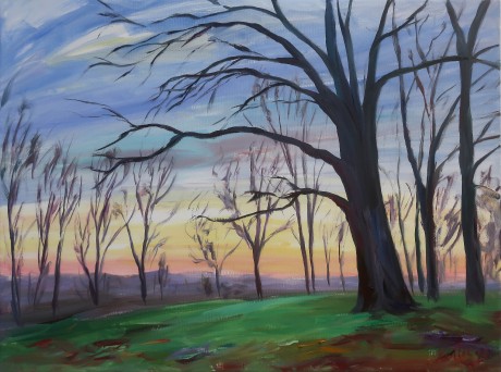Oak in the evening mood (60x80 cm)