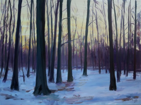 Snow in the forest (60x80 cm)