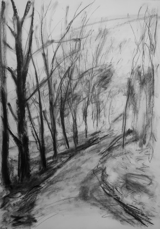 Foggy path (84x59 cm)