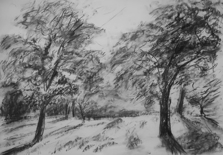 Flowering trees (59x84 cm)
