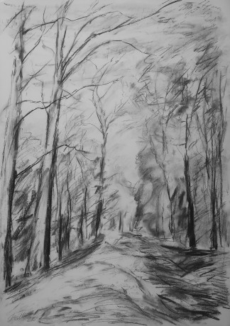 Forest path (84x59 cm)