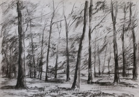 Light in the forest (59x84 cm)