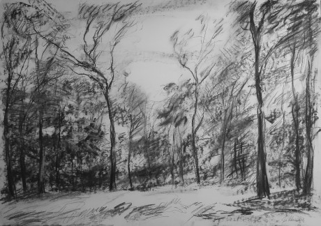 V dubovém háji (59x84 cm)
