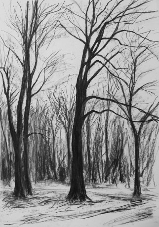 Beeches in the winter landscape (84x59 cm)