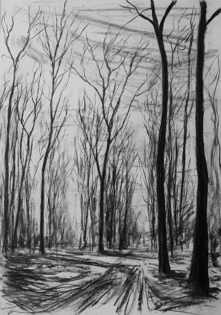 Lesní cesta (59x84 cm)