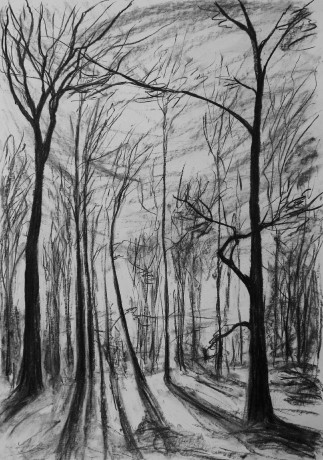 In the winter forest (84x59 cm)