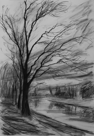 A tree by the river (84x59 cm)