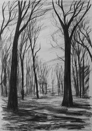 Evening between oaks (84x59 cm)