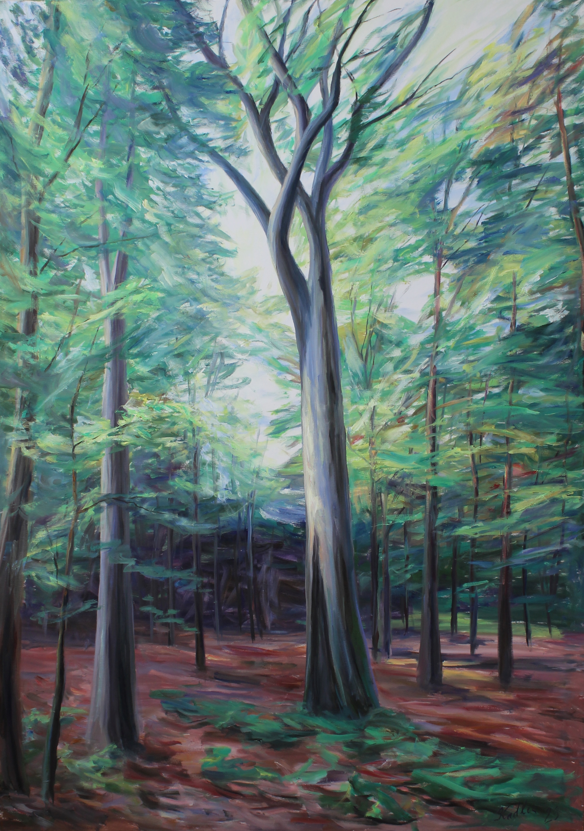 Old beech tree (140x100 cm)