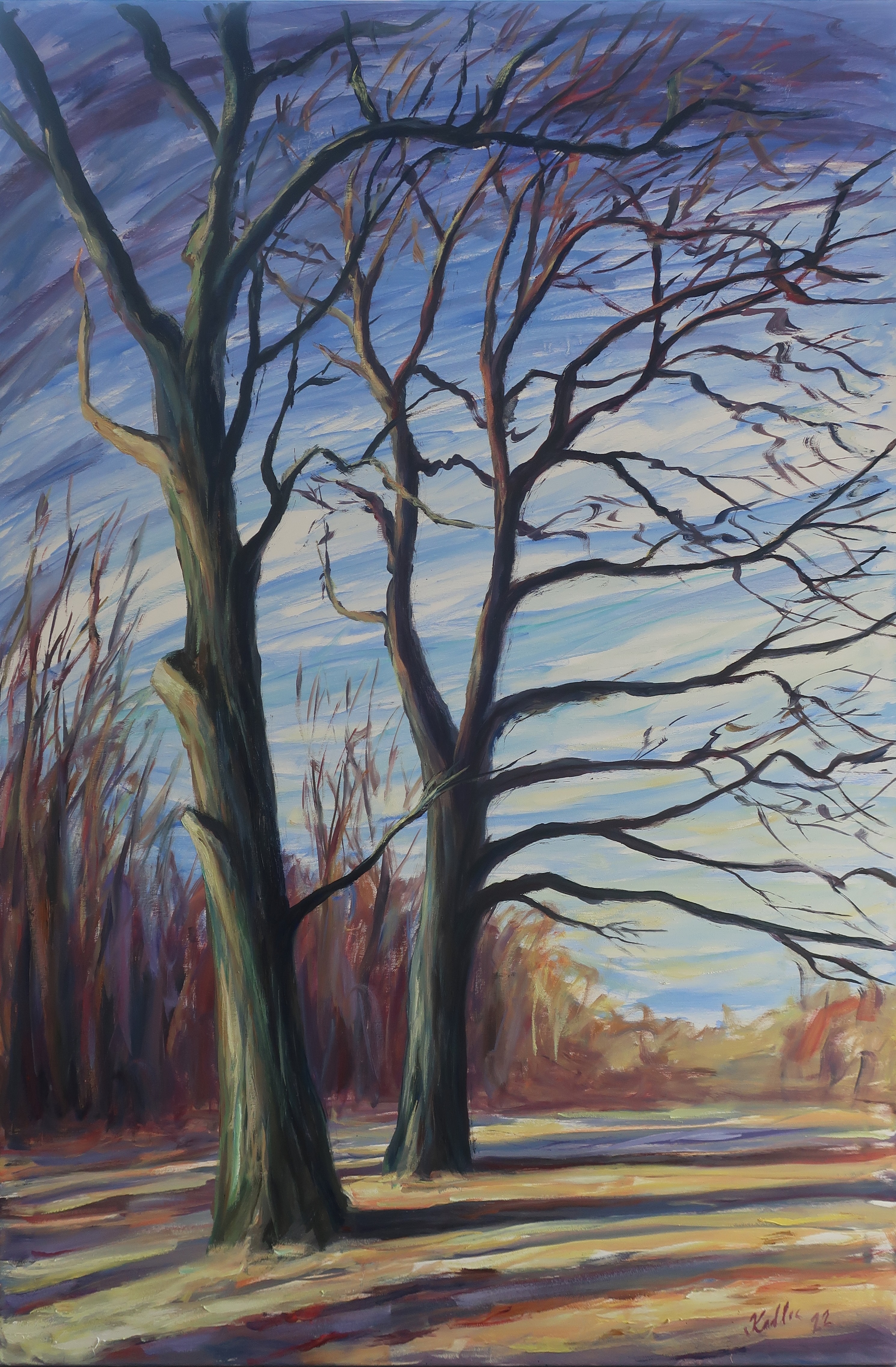 Duby (150x100 cm)