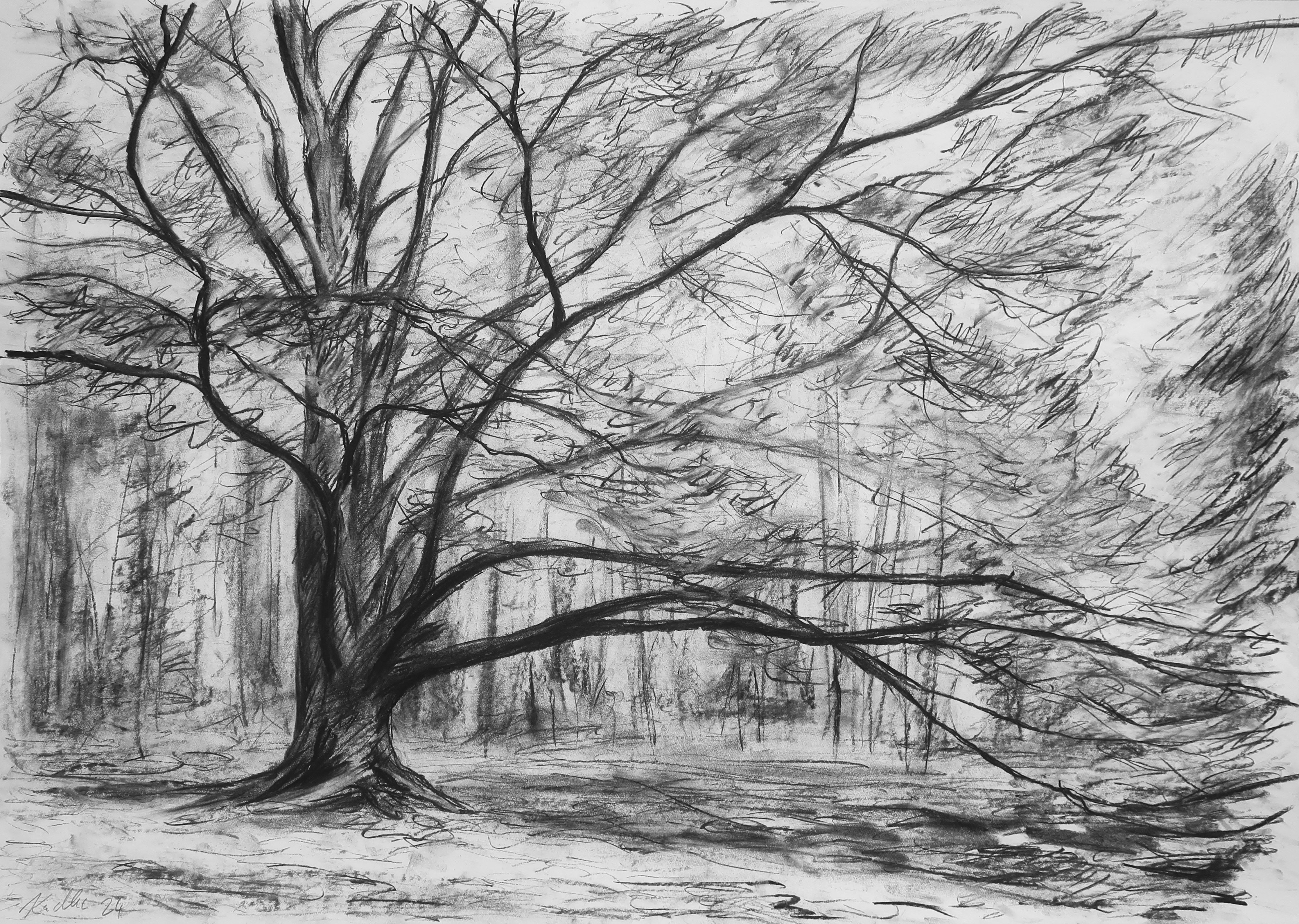 Beech tree in autumn mood (59x84 cm)