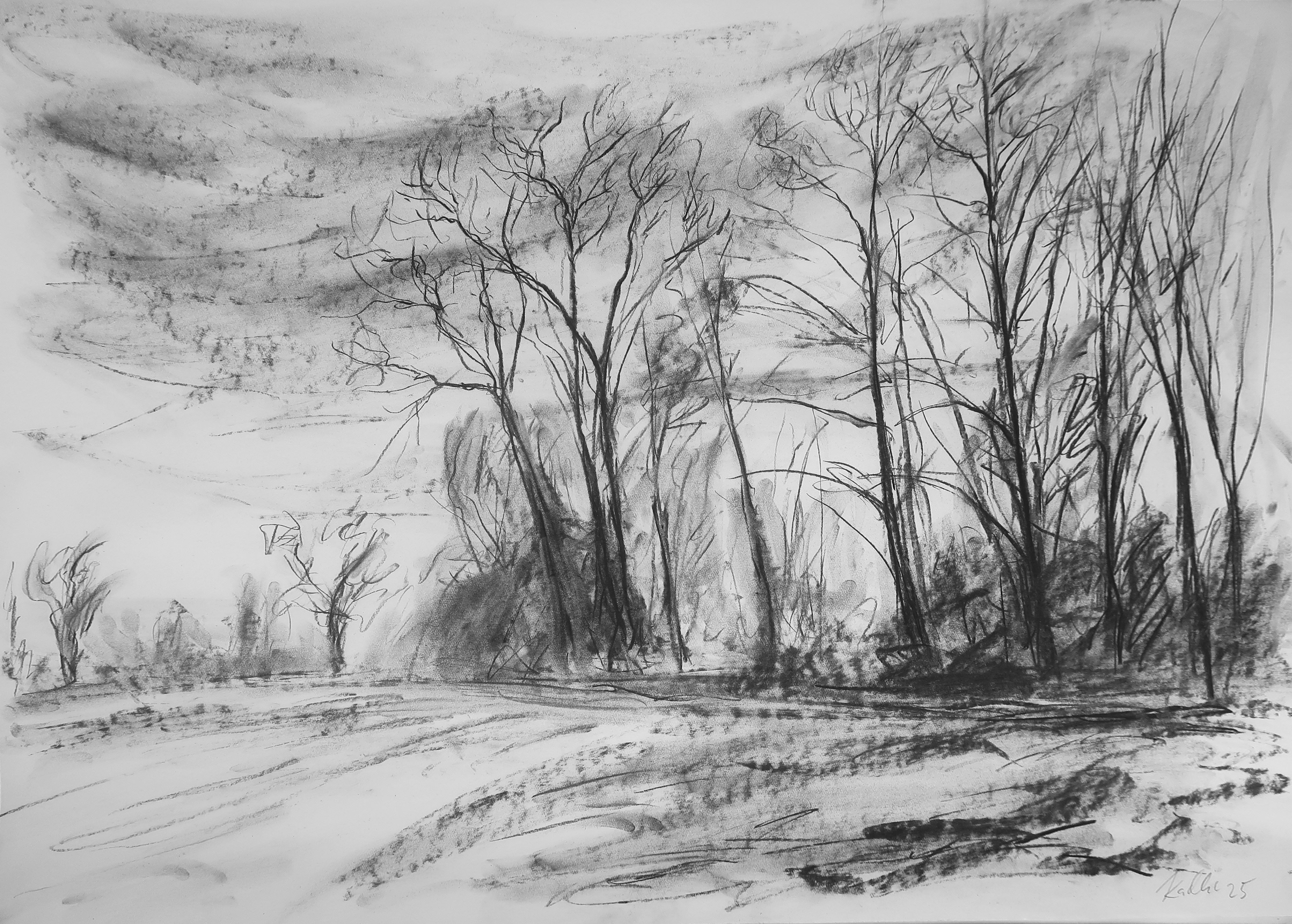 Stromy u Staré Třebše (59x84 cm)