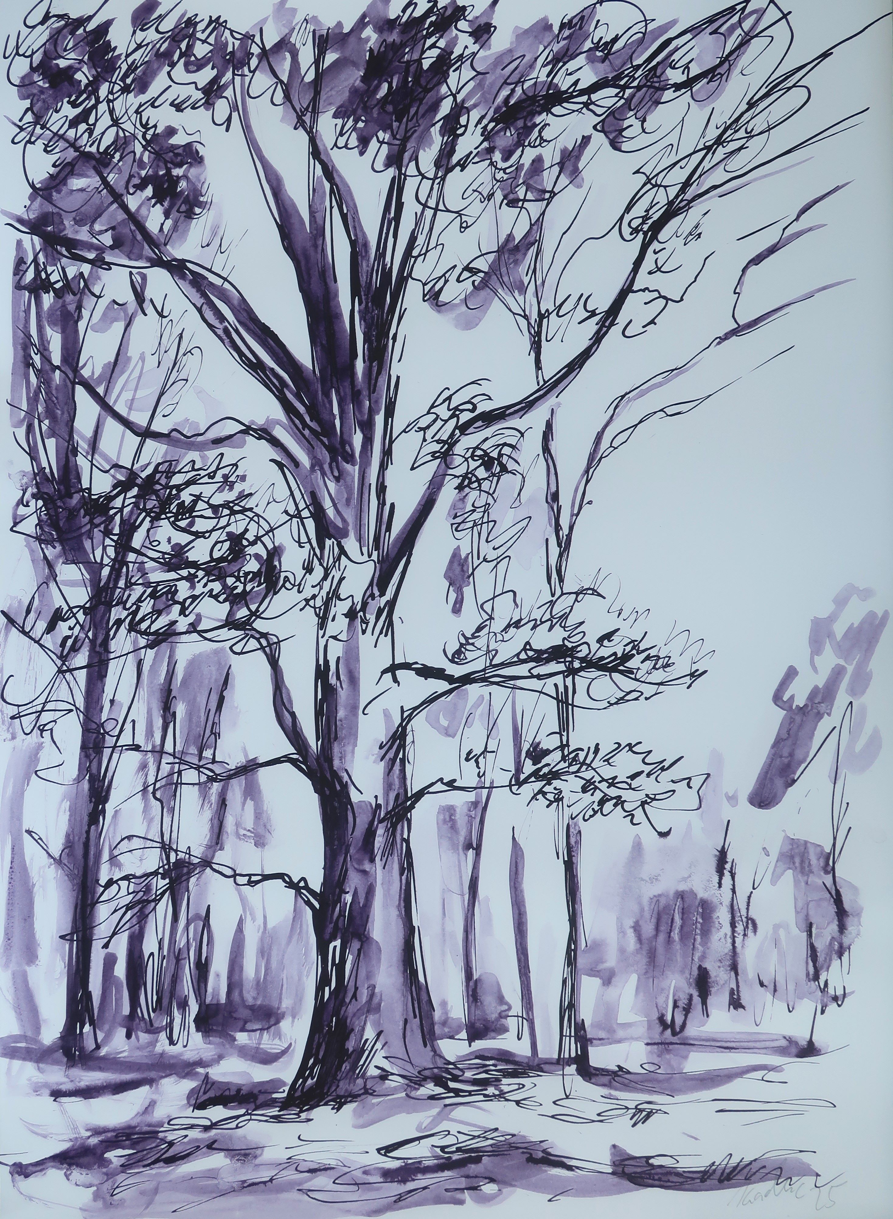 Dub zjara (42x30 cm)