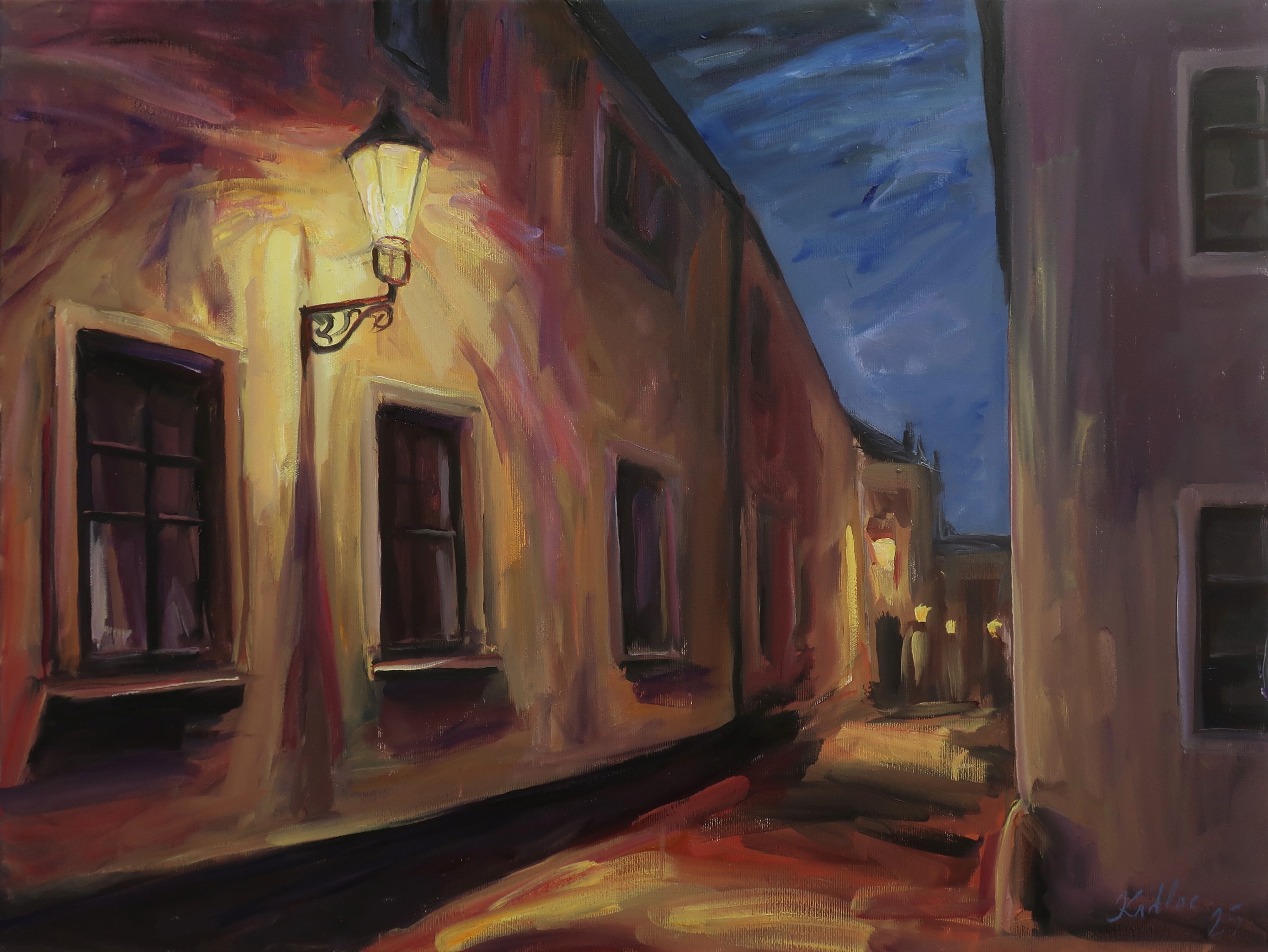 Motiv ze staré Plzně (60x80 cm)