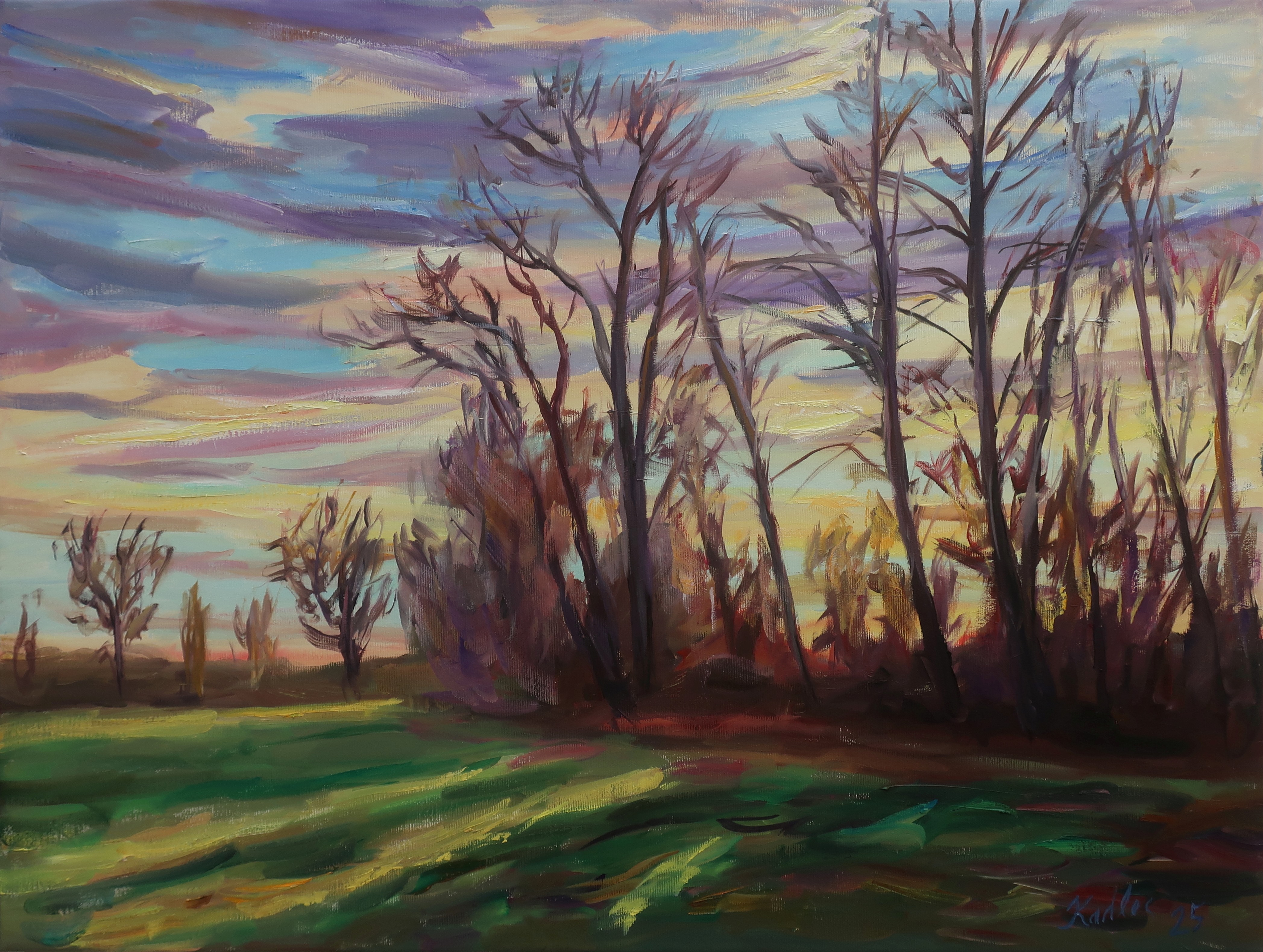 Stromy ve Staré Třebši (60x80 cm)