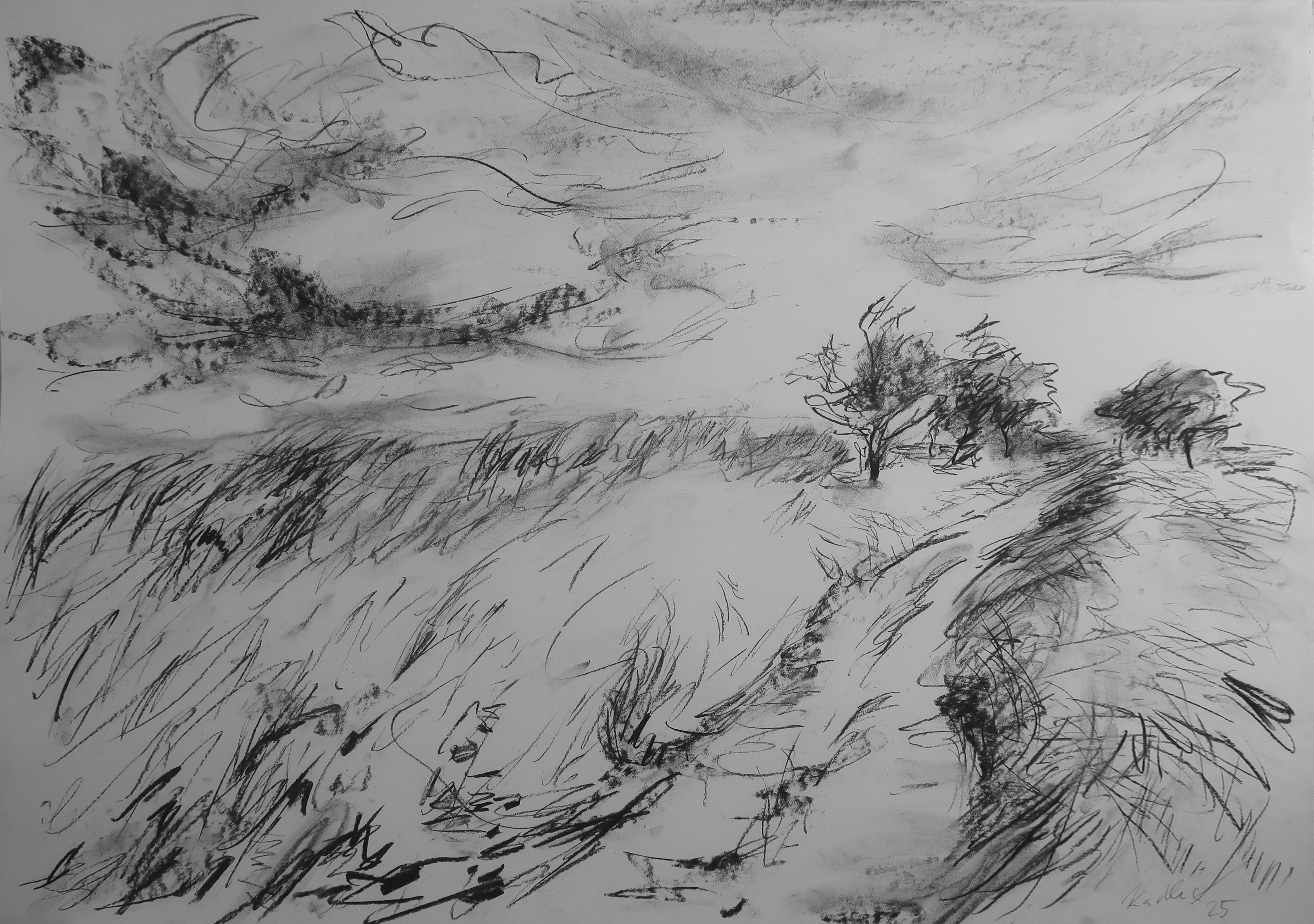 Path to the fields (59x84 cm)