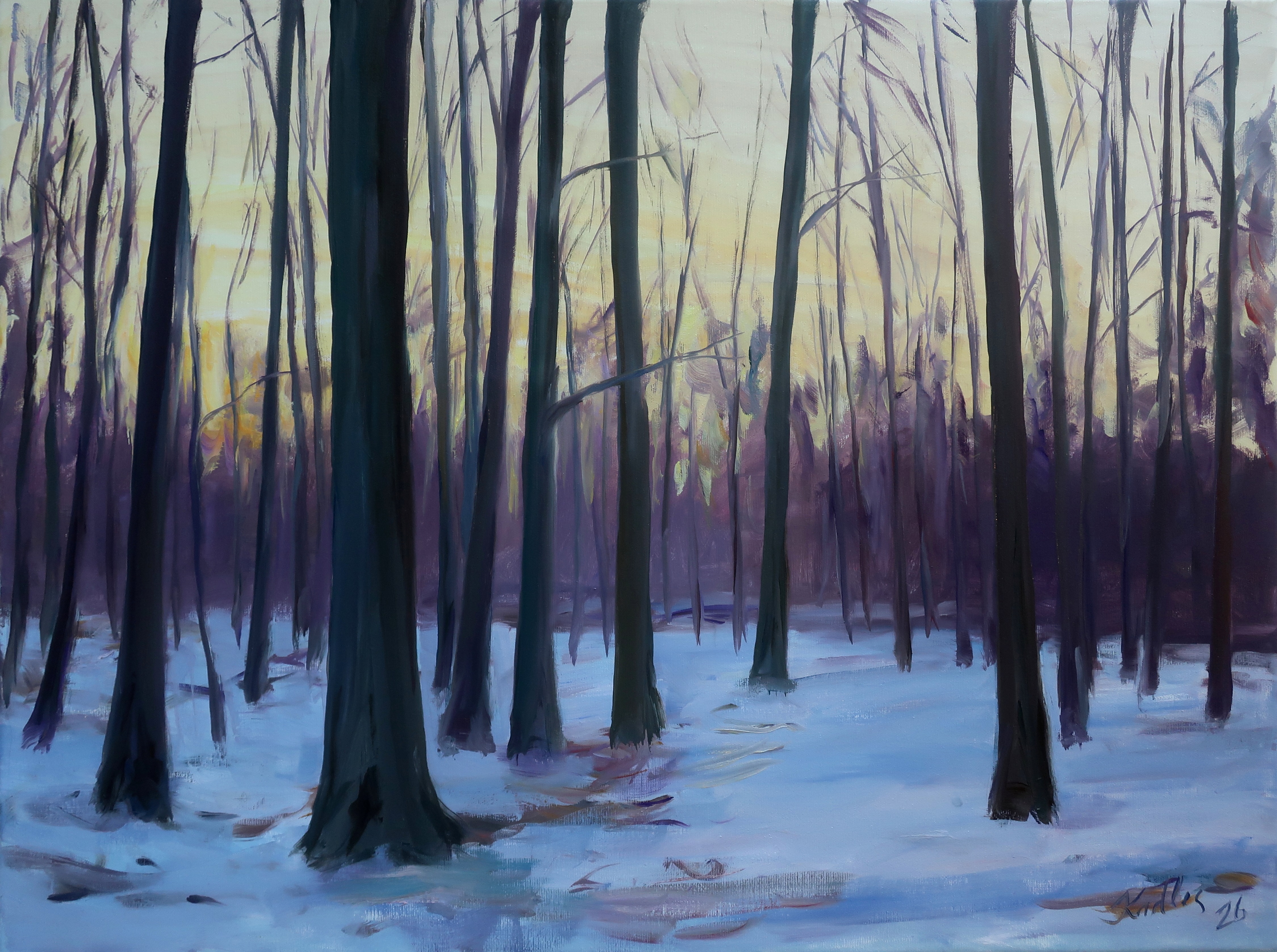 Snow in the forest (60x80 cm)
