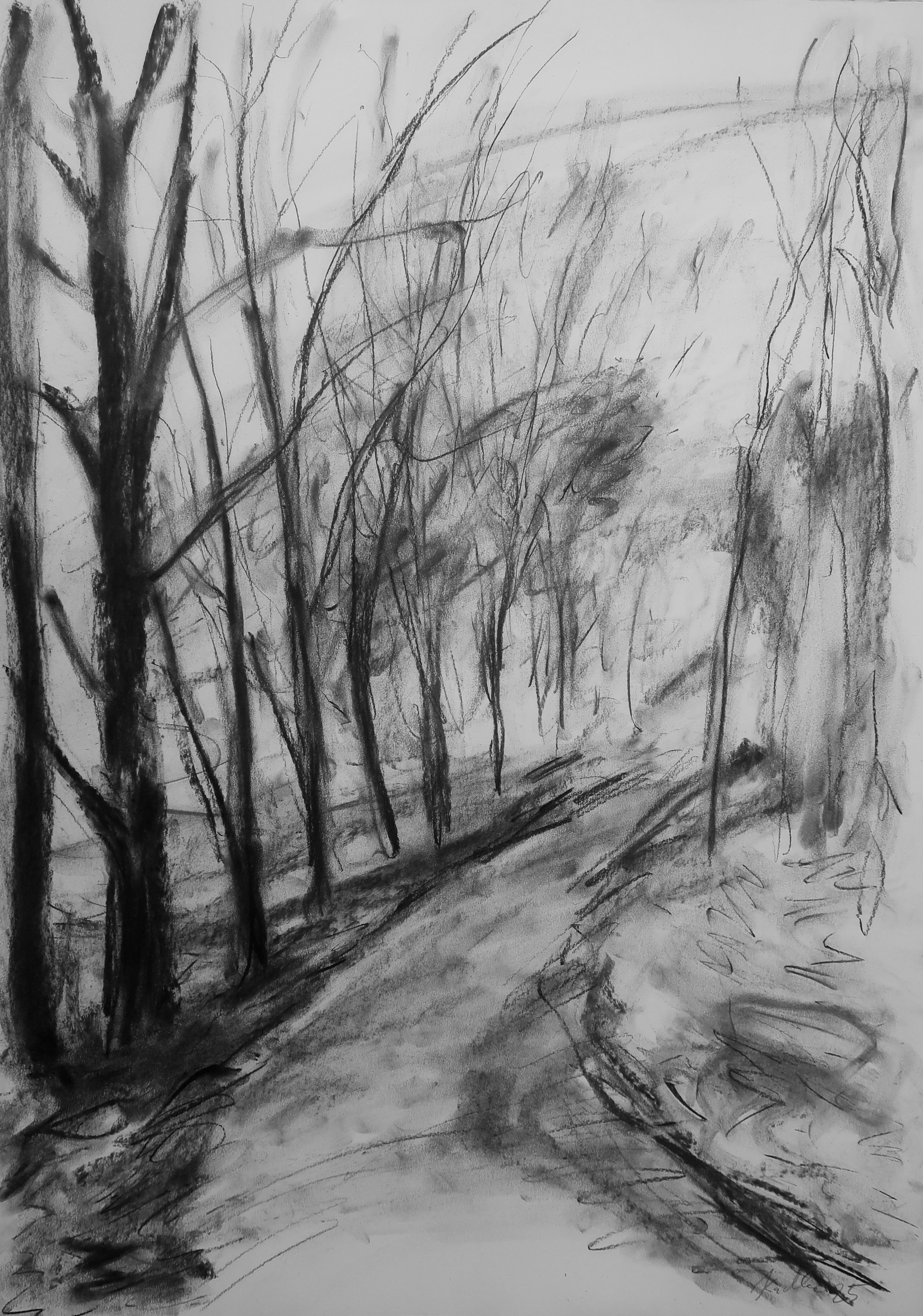 Foggy path (84x59 cm)