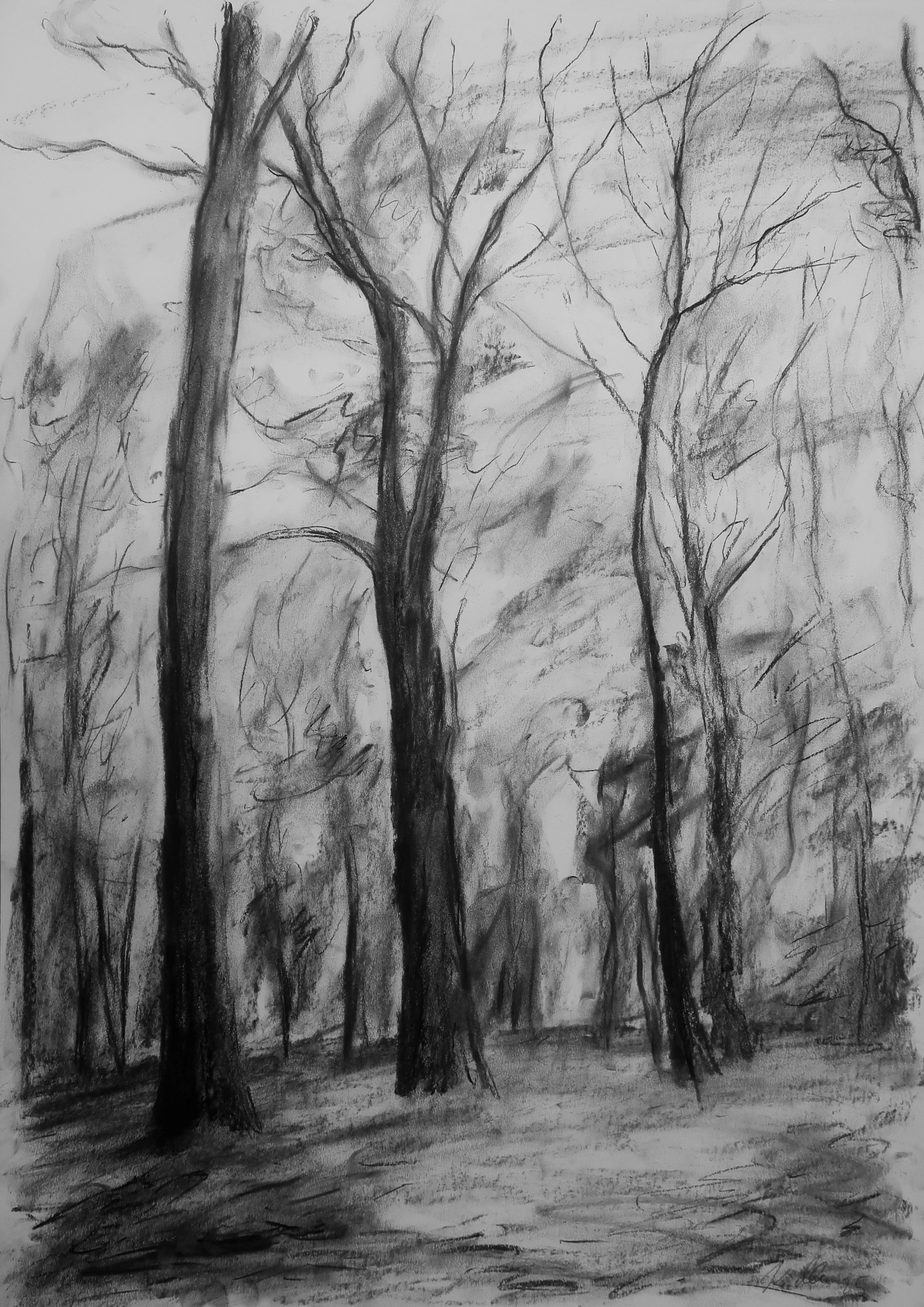 In the autumn forest (84x59 cm)