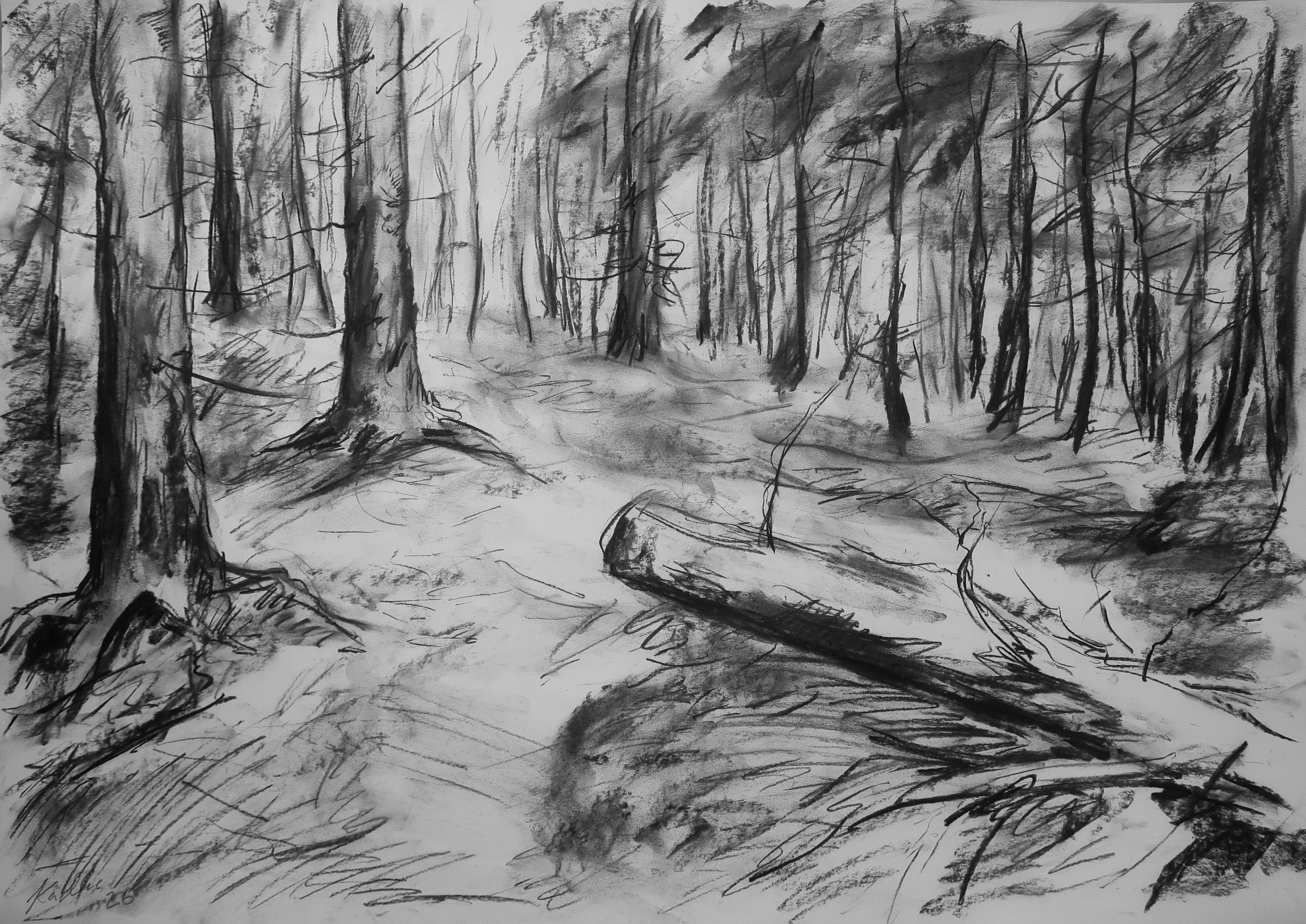 Enchanted forest (59x84 cm)