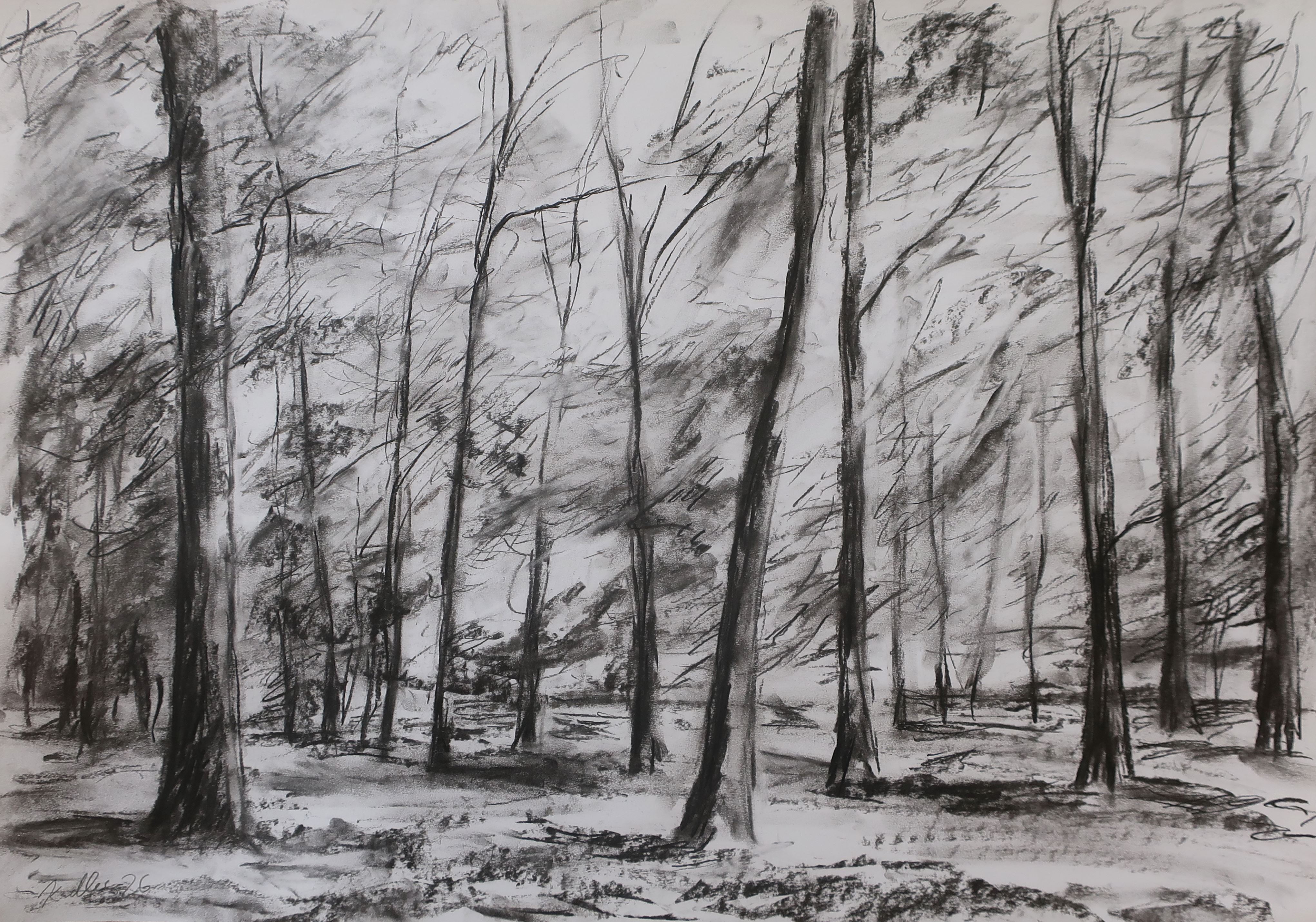 Světlo v lese (59x84 cm)
