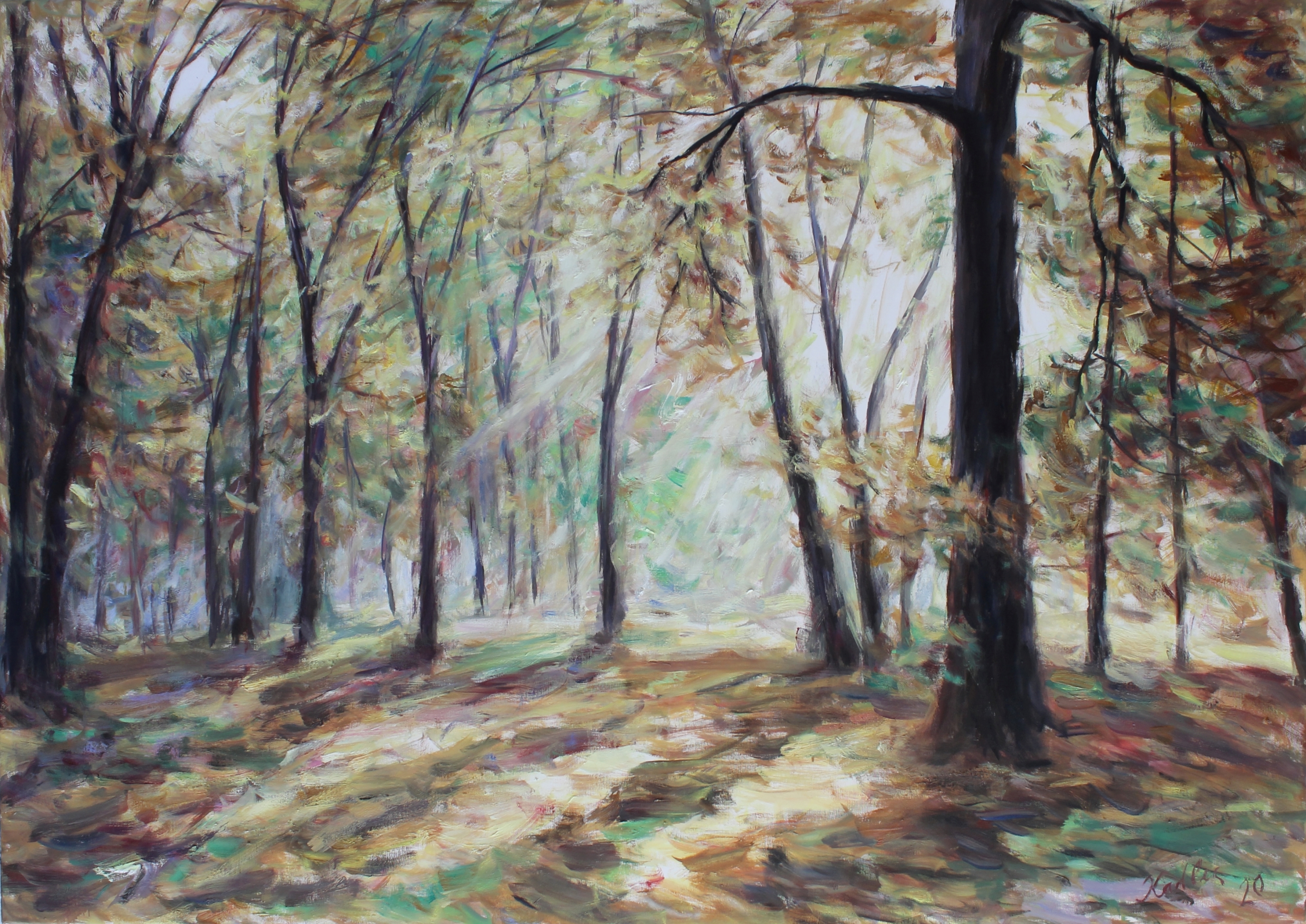 Podzimní světlo (100x140 cm)