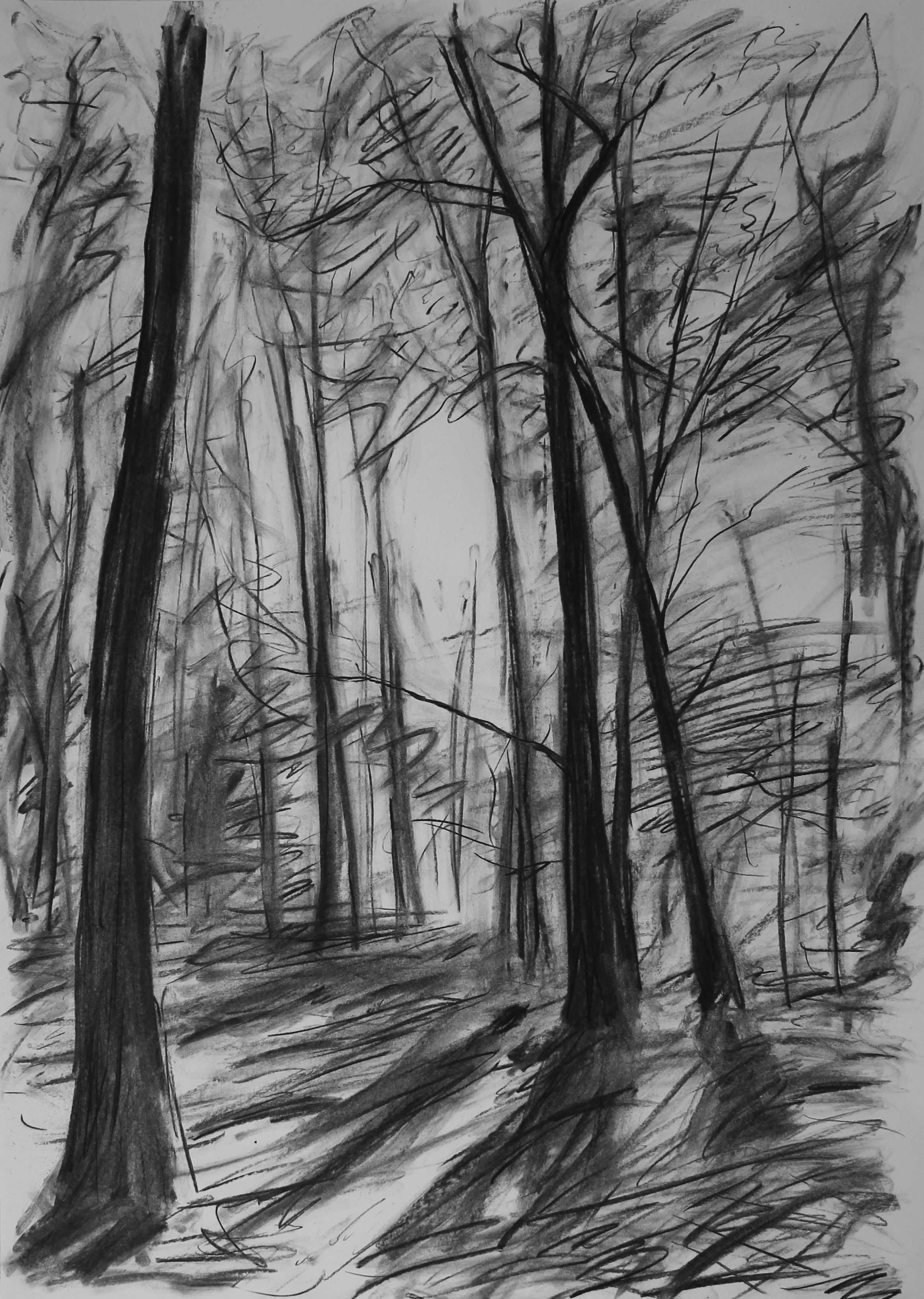 Jas v podzimním lese (59x84 cm)